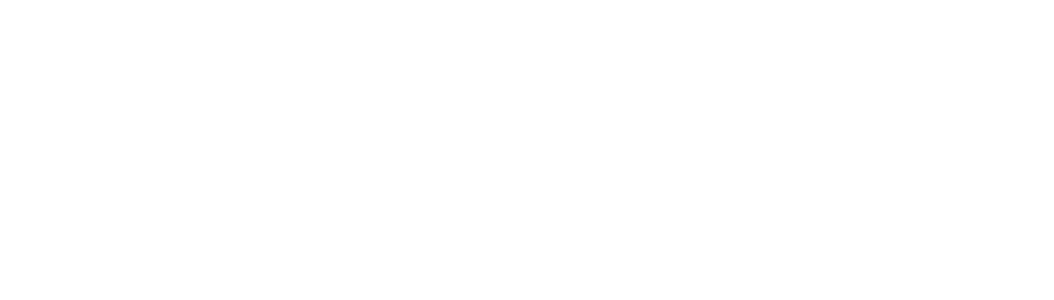 The Drone Dock